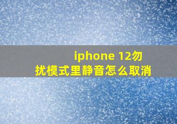 iphone 12勿扰模式里静音怎么取消